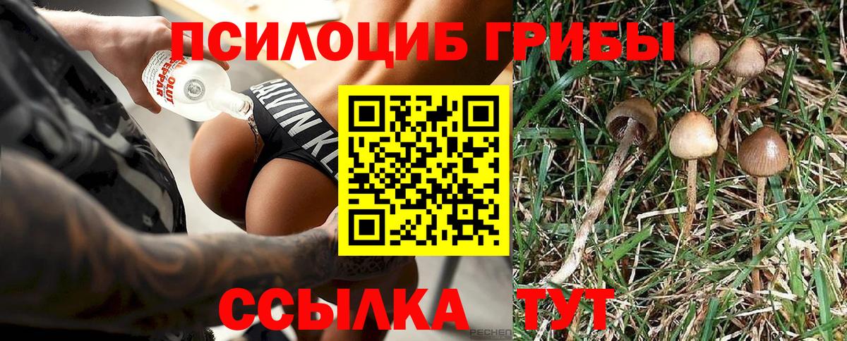 Галлюциногенные грибы Cubensis Гагарин