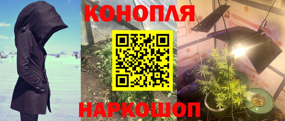 Бошки Шишки конопля Гагарин